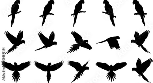 Parrot silhouettes vector set, tropical bird icons, black exotic animal shapes, flying perched poses, jungle nature wildlife graphic elements collection.
