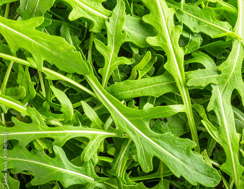 Arugula background, full frame, top view. AI