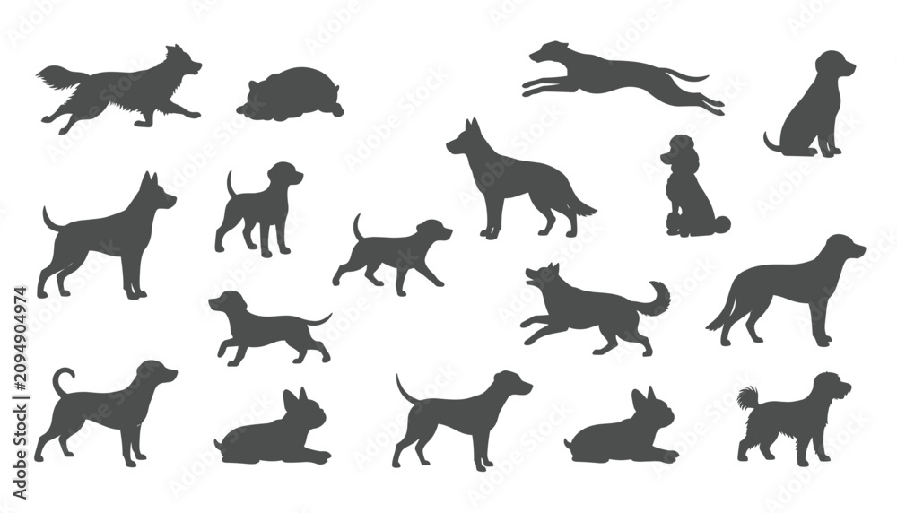 Obraz premium Collection of grey dog silhouettes in various poses and breeds shown standing, running, sitting, and lying on a white background.