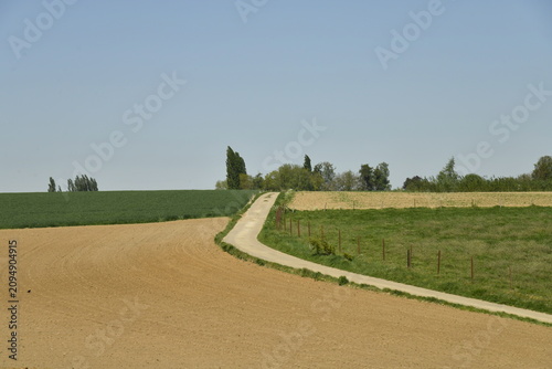 Фотография Route de campagne longeant un champ à peine semé à la Bruyère (Namur)