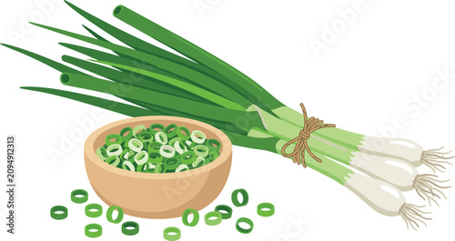 Canvas Print Fresh green onion bundle vector illustration with chopped scallion rings in a wo
