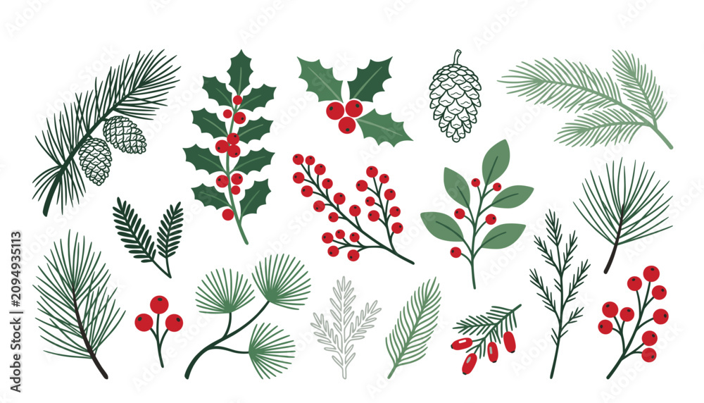 Fototapeta premium Christmas winter botanical branch vector illustration set. Festive holiday greens including pine needles, holly berries, pinecones, evergreen leaves and fir tree elements.