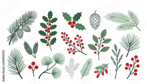 Foto Christmas winter botanical branch vector illustration set