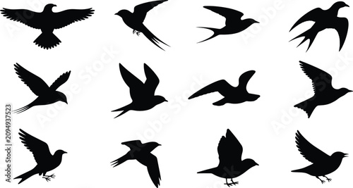 Cuadro en lienzo Flying birds flat vector illustration pack