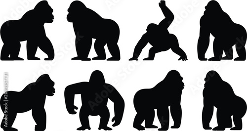 Obraz na plátně Gorilla silhouettes flat vector illustration set