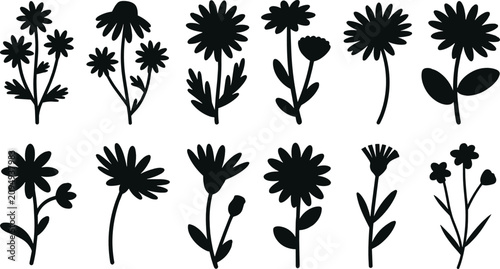Obraz na plátně Daisy flowers flat vector illustration set