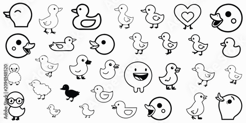 Photos Collection of charming baby ducks and ducklings, cheerful and playful characters