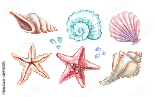 Εκτύπωση καμβά Set of seashells and starfishes. Watercolor illustration
