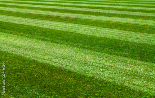 Green grass field with striped mowing pattern
