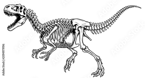 Foto Aggressive Dinosaur Skeleton Vector Illustration Isolated on White Background