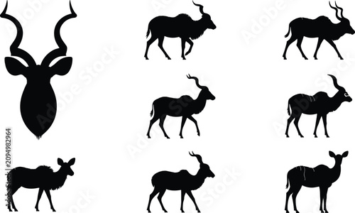 Quadro su tela Kudu antelopes flat vector illustration collection