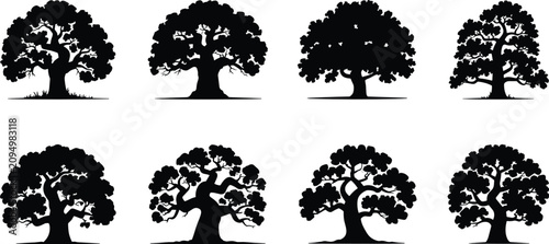 Obraz na płótnie Oak trees flat vector illustration pack