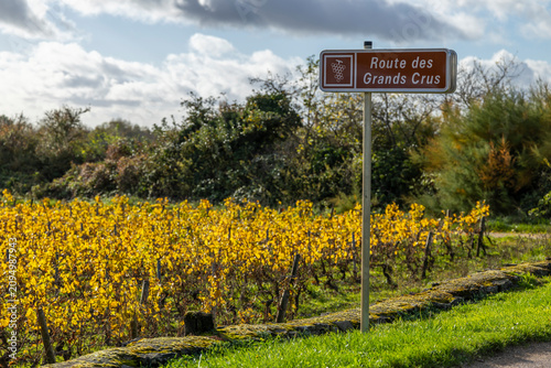 Valokuva Route des Grands Crus sign in Meursault vineyard