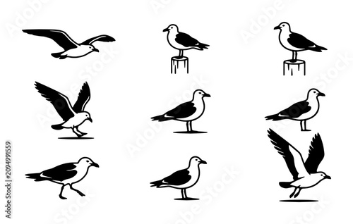 Fotografija Seagull Vector Icons Set: Flying, Standing, and Landing Bird Illustrations, Coas