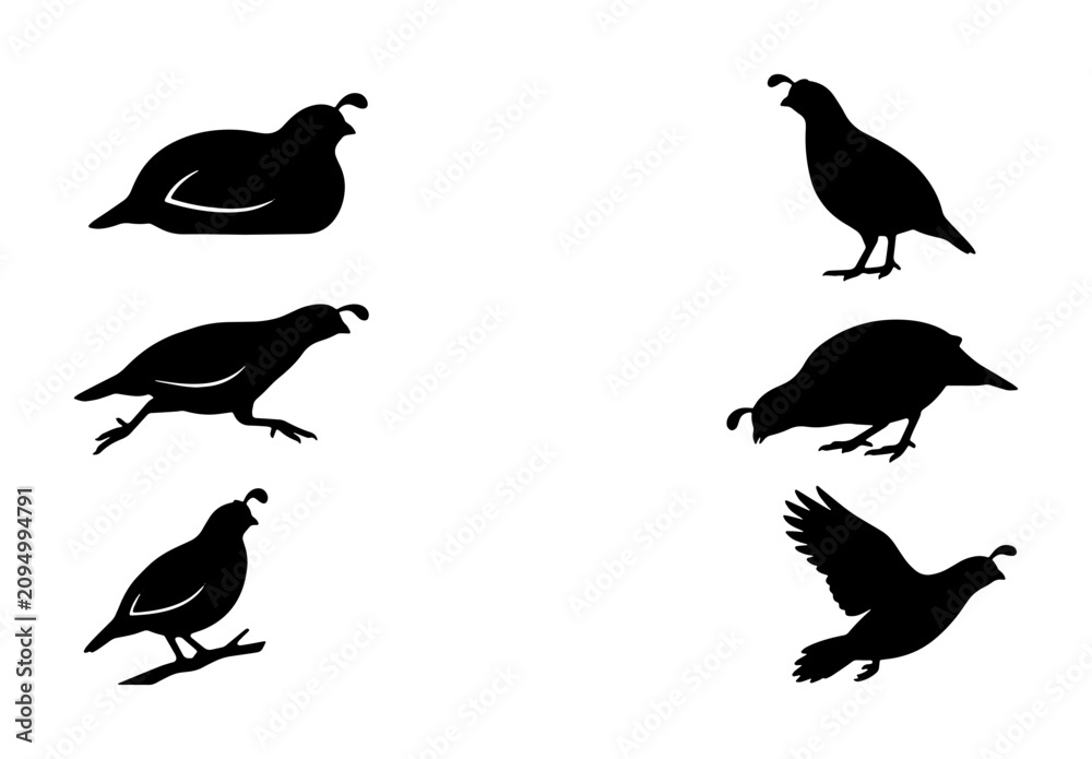 Fototapeta premium Quail Silhouettes Vector Set: Diverse Poses of Game Birds, Wildlife Icons for Nature and Hunting Graphics