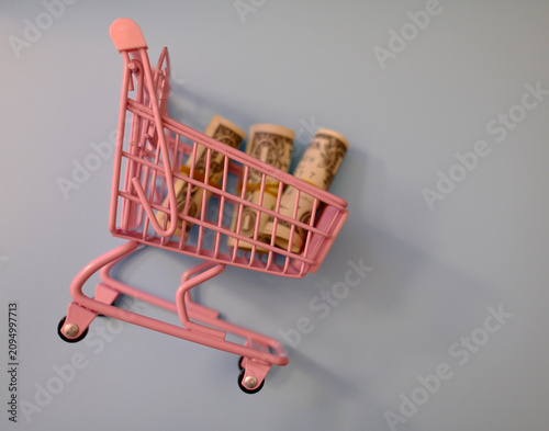 Canvastavla Small pink toy shopping cart filled with one dollar bills, savings and family budget concept