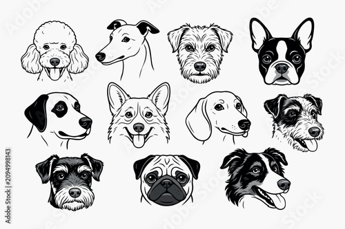 Tableau sur toile Collection Of Canine Heads Black And White Vector Illustrations Of Various Dog B