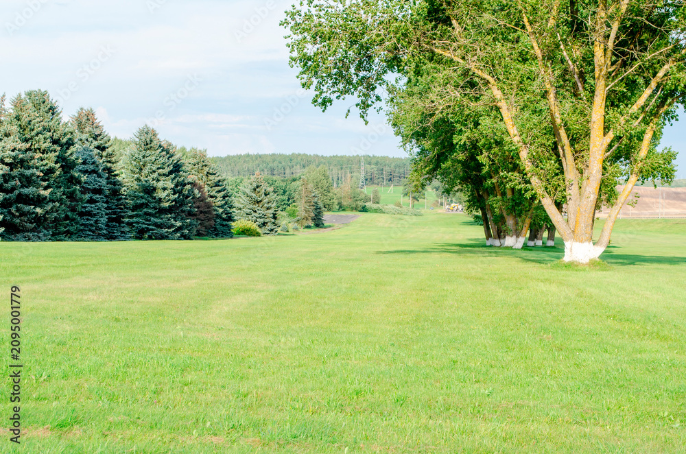 Obraz premium Wide grassy field with trees and distant hills in evening light