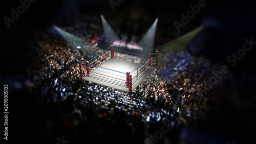 Bild auf Leinwand Empty boxing ring surrounded with spectators. 3D illustration