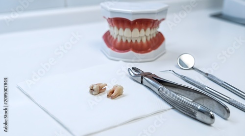 Dental extraction setup tools extracted teeth and anatomical model