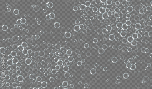 Realistic water bubbles on a transparent background