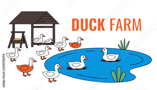 Tableau sur toile Very beautiful realistic vector illustration of a duck farm featuring domestic ducks, pond, wooden shelter, and a bold label reading DUCK FARM, isolated on white background