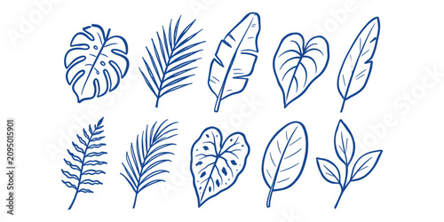 tropical leaf collection and hand drawn summer palm monstera fern banana foliage exotic plant doodle icon set vector illustration