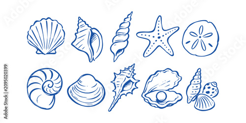 seashell collection and hand drawn summer beach sea shell starfish nautilus clam oyster pearl dollar doodle icon set vector illustration