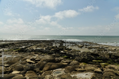 Obraz na płótnie Littoral rocailleux vers les falaises du cap Gris Nez à Audresselle à la Côte d'