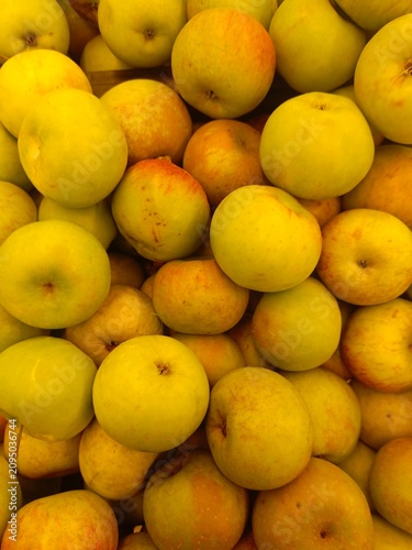Abundant golden-green apples showcasing a vibrant and crisp texture, fresh harvest produce ready for sale
