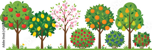 Colorful Fruit Tree and Bush Illustrations Featuring Apple Lemon Cherry Orange and Pear