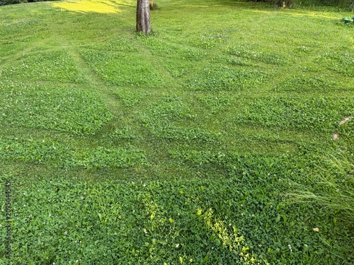 Mowed lawn with visible tracks from an automatic robotic mower