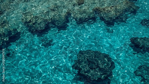Clear Water Above Coral Reef in Tropical Location During Sunny Day