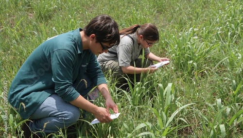 Researchers Collect Plant Data in a Field During a Sunny Day in the Summer