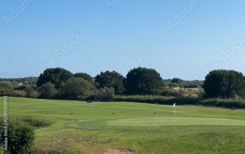 Εκτύπωση καμβά Vibrant green golf course landscape with mature trees under a clear blue sky