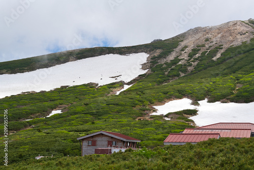 雪と緑が調和する山の小屋