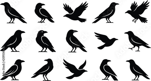 Quadro su tela black silhouettes of crows in various poses for Halloween or gothic design