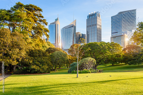 Public park bordered by modern glass skyscrapers in a city centre under clear blue sky at sunset in autumn