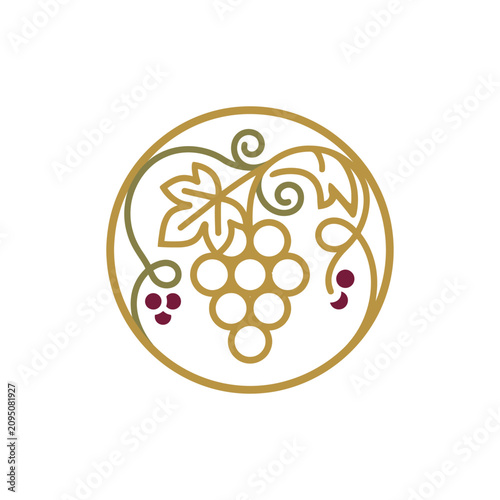 Circular golden grape vine and fruit cluster logo.