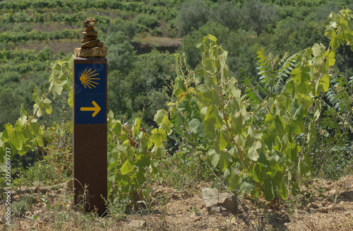 Camino de Santiago pilgrimage sign and rock balance in the alto douro wine region