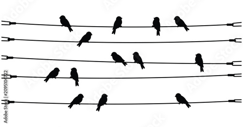 Obraz na płótnie Birds Sitting on Power Line Silhouette Vector Collection