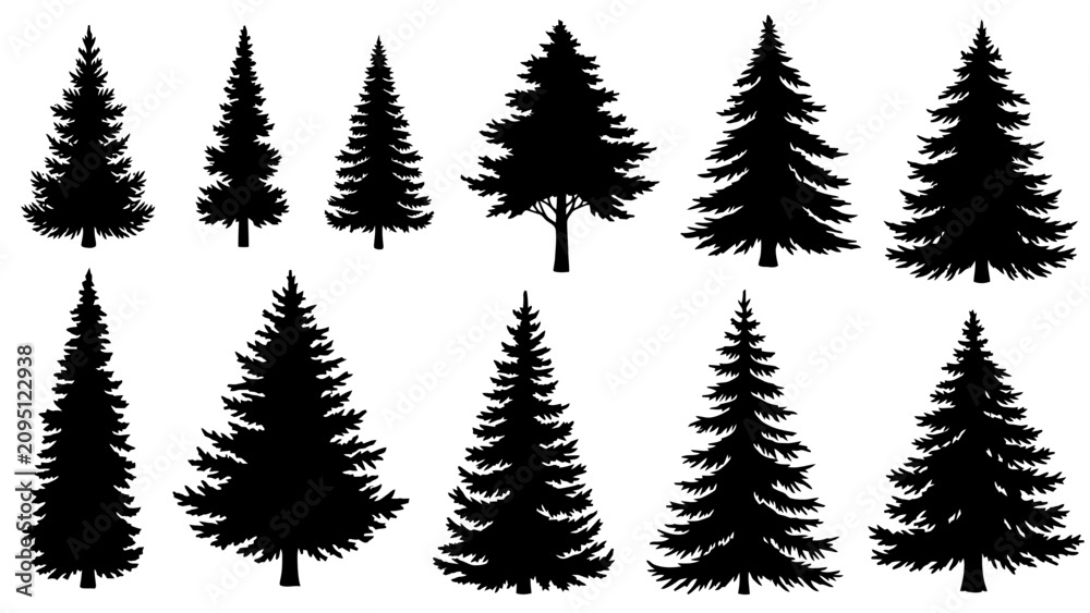 Obraz premium Collection of Silhouetted Evergreen Trees, Including Pine and Fir Varieties, Displayed Against a White Background.
