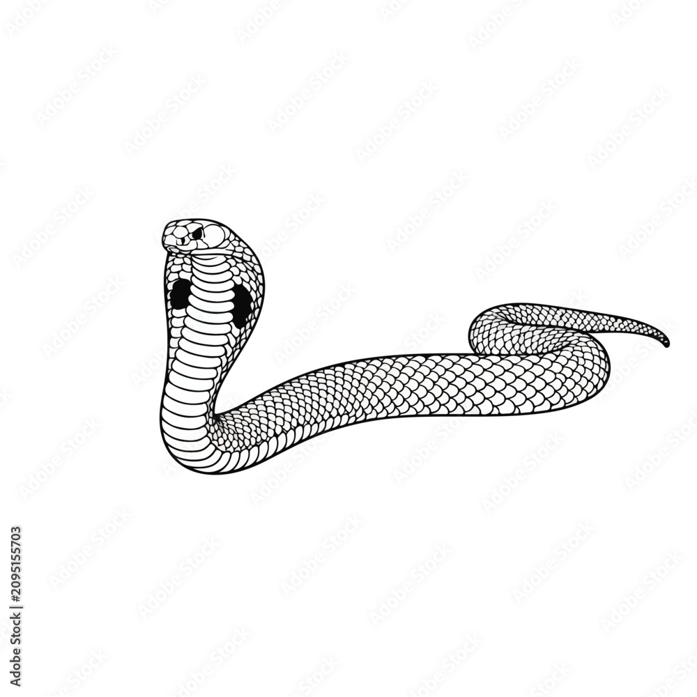 Fototapeta premium black and white drawing of a snake with detailed scales and pattern