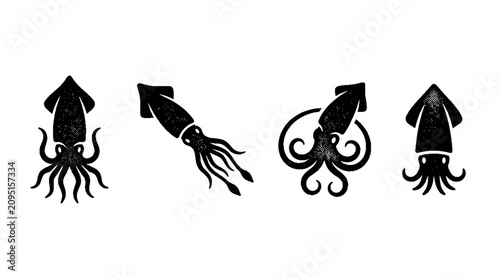 This series of halftone vector illustrations showcases intricate squid designs that embody the beauty and complexity of marine life in an engaging visual format.