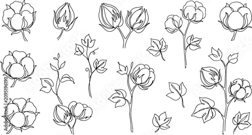 Fotografía Collection of hand drawn cotton plant elements set of cotton bolls flowers and l