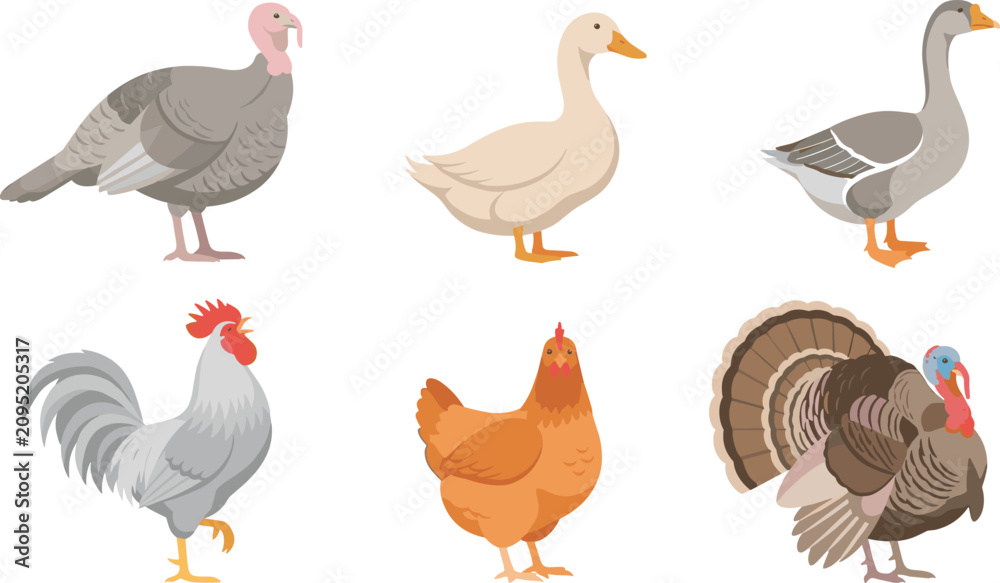 Fototapeta premium Poultry Farm Bird Vector Illustration Set Featuring Turkey Duck Goose Rooster and Hen Icons for Agriculture and Livestock Industry Designs