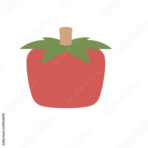 Simple Tomato Illustration