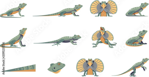 Canvastavla Modern flat vector frilled lizard illustrations showcasing various poses and beh