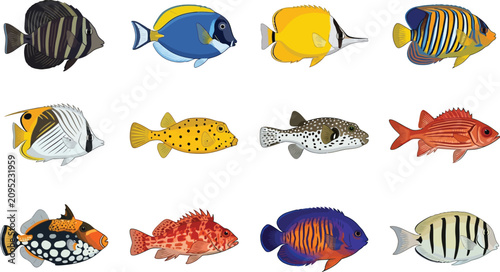 Tableau sur toile Natural history collection of colorful tropical reef fish species including butt