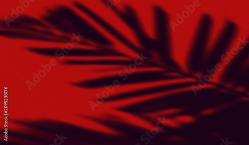 Konstfotografi The shadow of a palm leaf or tropical plant cast upon a red surface or background